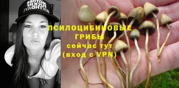 прущая мука Верхний Тагил