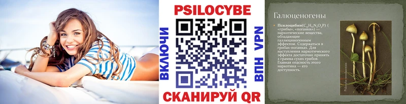 магазин    Гороховец  Псилоцибиновые грибы Magic Shrooms 