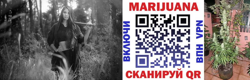 маркетплейс официальный сайт  Гороховец  Бошки Шишки план  купить закладку 